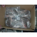 Exportar peixes congelados ivp ggs wr nile tilapia